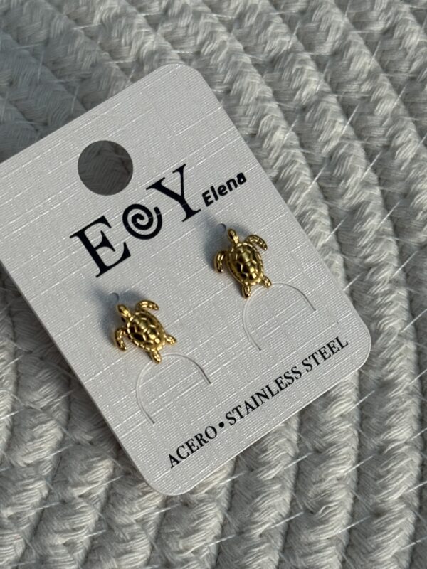 PENDIENTES TORTUGUI