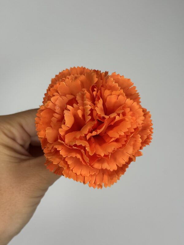 CLAVEL - Imagen 7