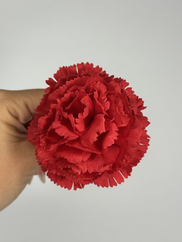 CLAVEL - Imagen 11