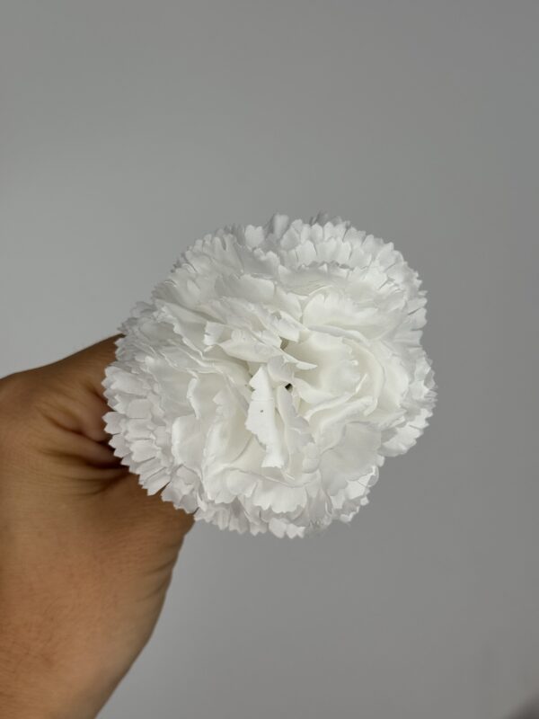 CLAVEL - Imagen 10