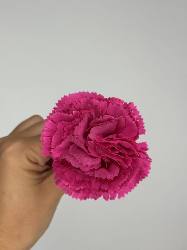 CLAVEL - Imagen 6
