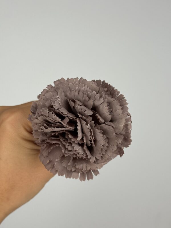 CLAVEL - Imagen 5