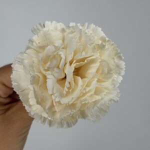 CLAVEL