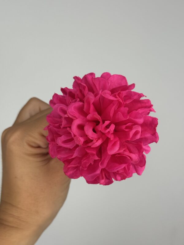PEONIA - Imagen 3