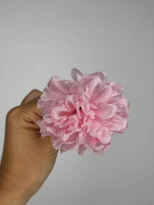 PEONIA - Imagen 2