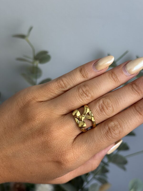 ANILLO LAZO