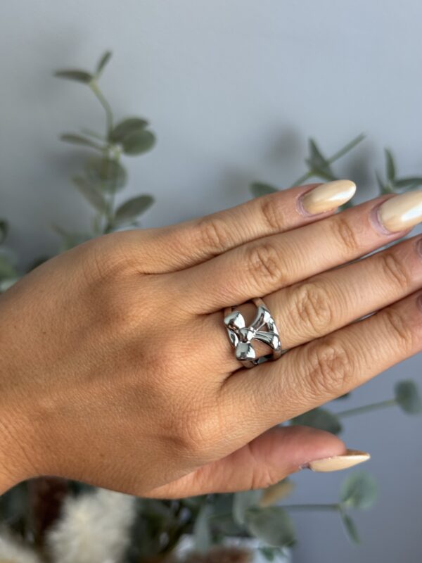 ANILLO LAZO - Imagen 3