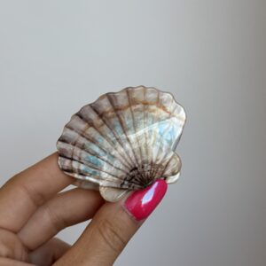 PINZA AGUAMAR