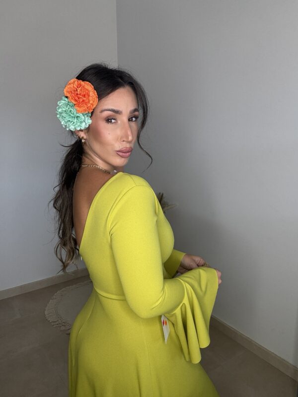 BARA BIZNAGA - Imagen 5