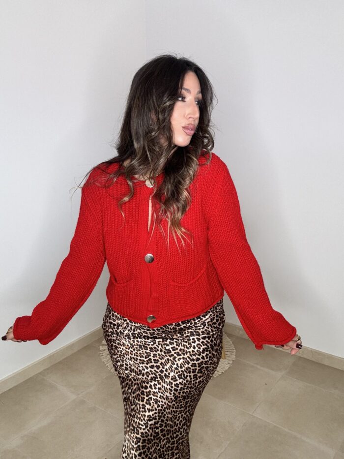 FALDA SATÉN ANIMAL PRINT CLASIC - Imagen 4
