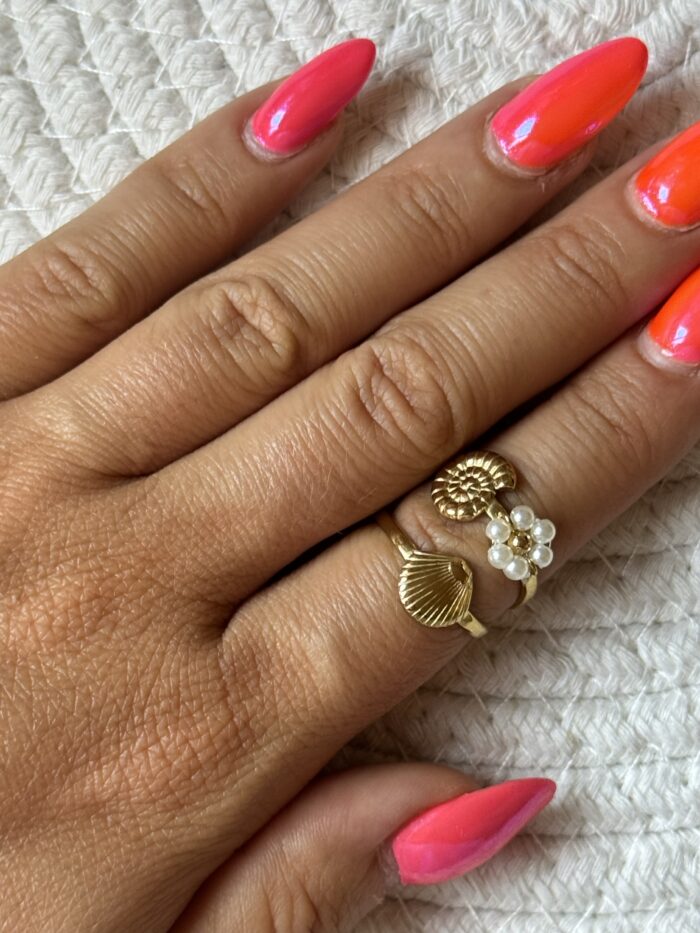 ANILLO CONCHA - Imagen 2
