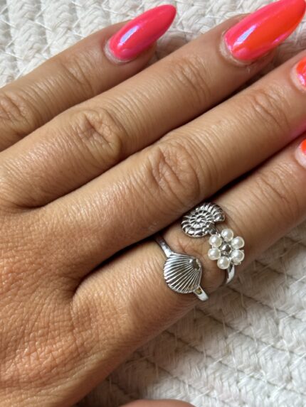 ANILLO CONCHA