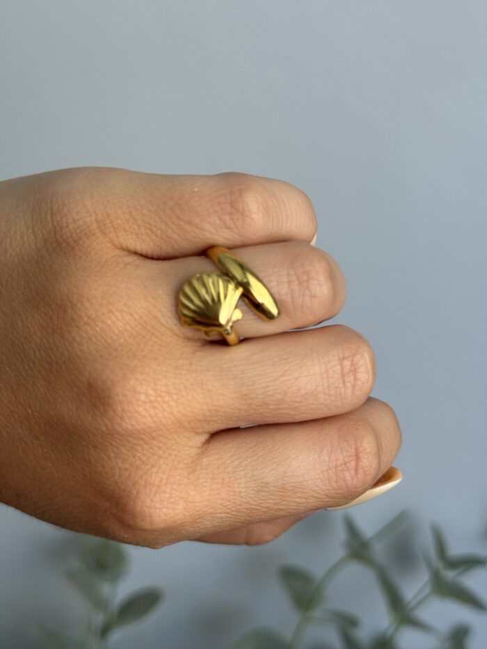 ANILLO CONCHA - Imagen 4