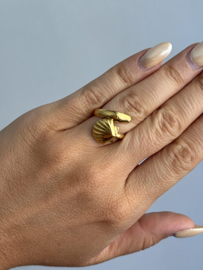ANILLO CONCHA - Imagen 3