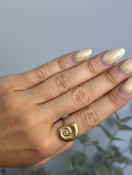 ANILLO CARACOLITA