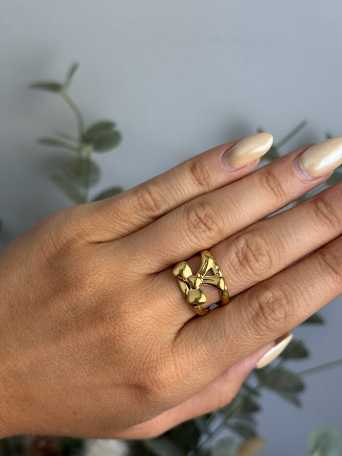 ANILLO LAZO - Imagen 4