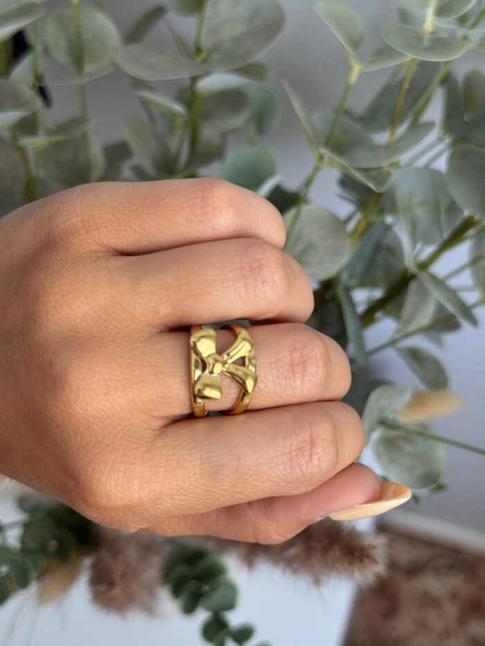 ANILLO LAZO - Imagen 3