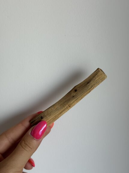 PALO SANTO